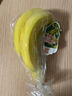 黄胖子进口香蕉650g 实拍图
