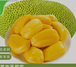 京鲜生 海南菠萝蜜 17-21斤 净重17斤+生鲜水果 源头直发 实拍图