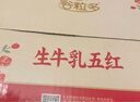 伊利【新鲜日期】谷粒多生牛乳五红 200ml*16盒 礼盒装  实拍图