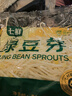 【有机】绿豆芽 200g 实拍图