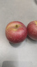 山姆大叔 丑苹果昭通苹果冰糖级【多地次日达】苹果水果礼盒圣诞节礼物 【优选果】单果65-70mm｜狠甜 【80%选择*】5斤装（超值推荐）净4.5 实拍图