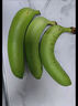广西新鲜高山香蕉青果自然熟高山薄皮新鲜采摘纯天然软糯香甜 高山香蕉250克（2-3根） 实拍图