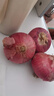 山东特产水果扁洋葱甜瓜口感红皮扁葱头生吃脆甜蘸酱好吃粉嫩 紫皮洋葱大果带箱 1斤 精选 实拍图