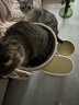 ZEZE竹里藤编凉感猫爬架夏季降温家用猫窝猫树一体猫抓柱猫爬架子 实拍图