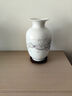 汪洋大海景德镇瓷器花瓶青花瓷中式客厅插花家居装饰工艺品博古架陶瓷摆件 雪景冬瓜瓶【送木底座】 实拍图