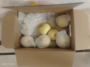京鲜生 精选砀山梨老树酥梨10斤 单果重250-350g  水果礼盒 实拍图
