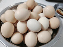 京喜加土鸡蛋 新鲜鸡蛋山林自养 生鲜溏心蛋 卤蛋早餐京东买菜40g正负5g 10枚装总重400g+ 实拍图