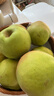京鲜生 河北鸭梨 地标产品 净重5斤 单果250g+ 生鲜水果礼盒 实拍图