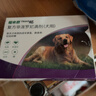 福来恩（FRONTLINE）狗狗进口驱虫药 大型犬去跳蚤蜱虫滴剂 2.68ml*3支装 实拍图