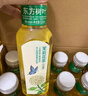 农夫山泉 东方树叶茉莉花茶500ml*15瓶无糖茶饮料0糖0脂0卡整箱装热门商品 实拍图