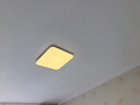 欧普（OPPLE）24瓦吸顶灯客厅卧室灯具可调光LED灯饰呵护光防蓝光10㎡ 冰玉III  实拍图