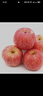 京鲜生 陕西洛川红富士苹果 净重5斤 单果75-80mm 源头直发  实拍图