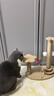 HELLOJOY猫抓板猫爬架一体耐磨不掉屑剑麻抓柱耐抓逗猫棒猫咪玩具自嗨解闷 实拍图