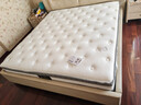 芝华仕（CHEERS）5星床垫乳胶垫独立弹簧软硬两用主卧室双人席梦思明星垫D0261.8米 实拍图