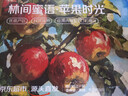 京觅大凉山丑苹果 净重7.5-8斤 单果75MM+应季新鲜水果源头直发包邮 实拍图