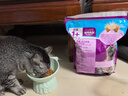 伟嘉成猫猫粮全价粮1.3kg海洋鱼味夹心粮布偶蓝猫橘猫 实拍图