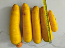 【真便宜】新疆冰糖心金黄胡萝卜水果萝卜新鲜蔬菜手抓饭直播间 黄胡萝卜 含箱3斤 实拍图
