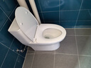 九牧（JOMOO）11173-2-1/31KD-3大力神家用马桶虹吸抗菌节水洁具305坑距 实拍图