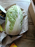 【霜打菜】新鲜大白菜玉田大白菜更甜早餐火锅超市京东包邮 3-5斤大白菜 实拍图
