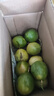 黄金百香果钦蜜9号新鲜当季现摘精选好果水果百香果鲜果酸甜可口 钦蜜9号黄金百香果 ＜40g小果 1斤 实拍图