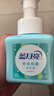 蓝月亮泡沫洗手液氨基酸抑菌 泡沫细腻滋润保湿（鲜果薄荷）255ml 泡泡 实拍图