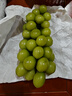 京鲜生国产阳光玫瑰净重3斤装单果13g葡萄/提子生鲜水果源头直发包邮 实拍图