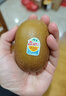 佳沛（zespri）新西兰  阳光金奇异果10粒礼盒巨大果单果约144-175g 水果 猕猴桃 实拍图