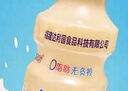 乳酸菌益生菌风味饮料乳酸菌饮品340ml/瓶早餐酸奶好喝 益生菌340ml*1瓶 实拍图