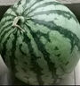 京鲜生 无籽麒麟瓜西瓜 1粒装 单果5-6斤 生鲜水果源头直发包邮 实拍图