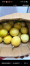 黄六爷正宗广西黄金百香果黄金钦蜜9号百香果新鲜当季水果旗舰包邮大果3 5斤大果（约25-35枚）限时冲量 实拍图