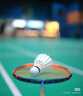 李宁（LI-NING）羽毛球新款G100S鹅毛球训练比赛用球耐打飞行稳定 AYQV005-77 实拍图