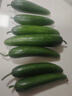 京喜加新鲜无刺水果小黄瓜小青瓜脆甜荷兰脆嫩生吃黄瓜蔬菜 水果黄瓜 2斤 带箱活动 实拍图