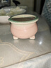 景青陶瓷多肉花盆简约冰裂清新彩红小号控型创意桌面装饰透气 YM三腿胖嘟嘟-绿粉 陶瓷 实拍图