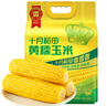 十月稻田 黄糯玉米 3.52斤(220g*8根)  杂粮粗粮 东北玉米 低脂早餐 新米 实拍图