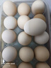 京鲜生富硒鲜鸡蛋30枚 3斤 源头直发 实拍图