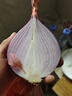 京鲜生 甘肃紫皮洋葱带皮 净重5斤 单果300g+ 新鲜蔬菜源头直发 实拍图