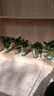 双盟绿萝盆栽除甲醛花卉绿植办公室新房净化空气 120款10盆源头直发 实拍图