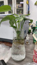 玻璃花瓶透明植物插花瓶水培容器大花瓶装饰客厅摆件 透明水波纹（17*5.5*8） 1个装 实拍图
