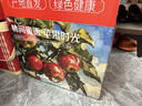 京觅大凉山丑苹果 净重7.5-8斤 单果75MM+应季新鲜水果源头直发包邮 实拍图