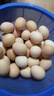 新鲜农家谷物鲜鸡蛋  现捡现发 破损包赔  营养早餐 30枚装（3斤） 实拍图