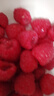 怡颗莓红树莓125g 实拍图
