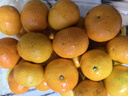 京鲜生 金秋砂糖橘/砂糖桔 5斤 生鲜水果礼盒  实拍图