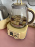 北鼎养生壶全玻璃烧水壶自营多功能炖煮壶煮茶壶一体成型办公室家用恒温壶电热水壶1.2L FK571小鹅黄 实拍图