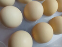 1号会员店可生食鸡蛋30枚净重3.6斤精选大码蛋礼盒装 源头直发 实拍图