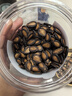 正林3A黑瓜子500g/袋五香味大颗粒西瓜子坚果炒货（新旧包装随机发） 实拍图