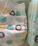 好奇（Huggies）小森林纸尿裤M50片(6-11kg)尿不湿心钻【透氧顶配更低敏】 实拍图