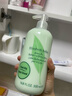 伊丽莎白雅顿绿茶身体乳500ml清爽润肤保湿滋润缓解干燥礼物送朋友 实拍图