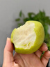 京鲜生 新疆特级库尔勒香梨 净重5斤单果120g以上 生鲜水果 实拍图