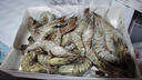 鲜京采 鲜冻大号黑虎虾 去冰净重2斤 31-40只/盒 斑节对虾 实拍图