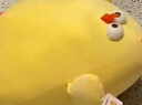 名创优品（MINISO）墩dun鸡系列毛绒公仔玩具卧室教室办公室睡觉抱枕生日礼物小号 实拍图